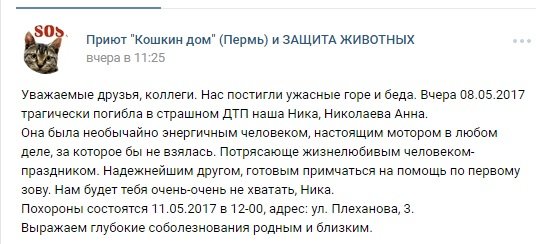 В Перми в массовом ДТП на Коммунальном мосту погибла зоозащитница Анна Николаева