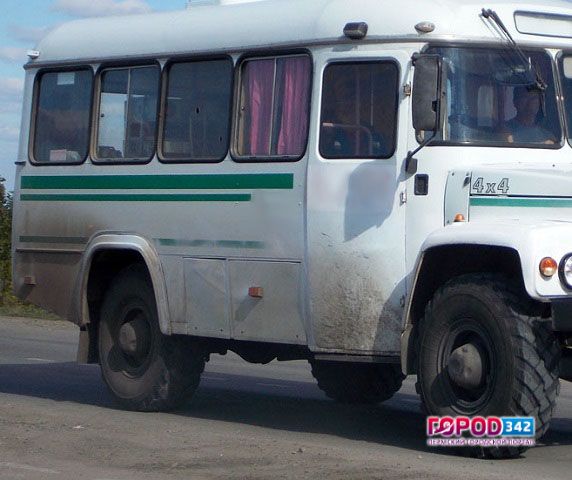 В Прикамье опрокинулся в кювет рейсовый автобус, один человек погиб, двое госпитализированы