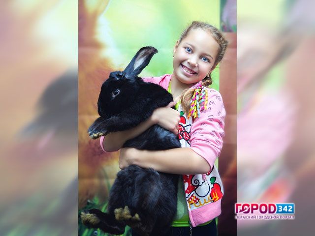 Уникальная контактная выставка животных «ЭкZоферма»: Пермь, ТЦ «BAZAR»