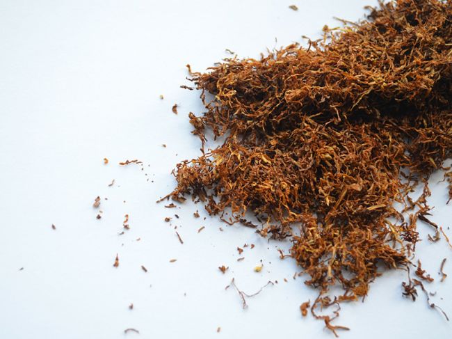 Россельхознадзор обнаружил в японском табаке возбудителя опасной инфекции