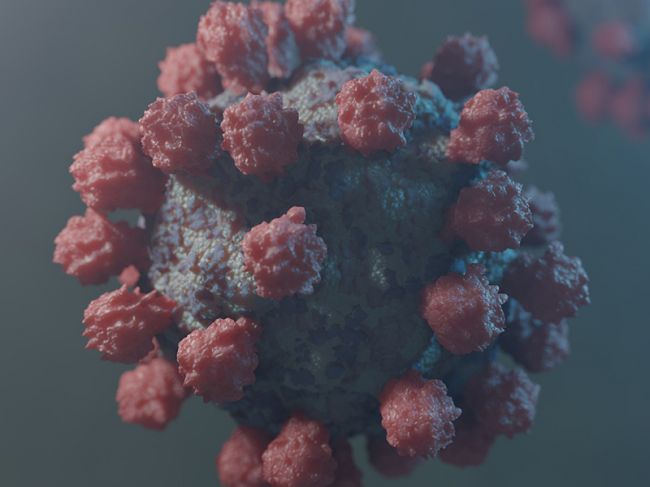 Ученые выяснили, что от коронавируса люди начинают глупеть