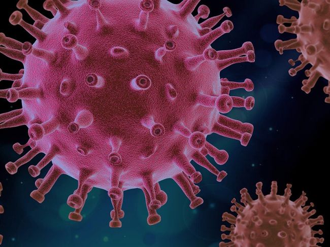 В Пермском крае побит антирекорд по ежесуточной смертности от коронавируса
