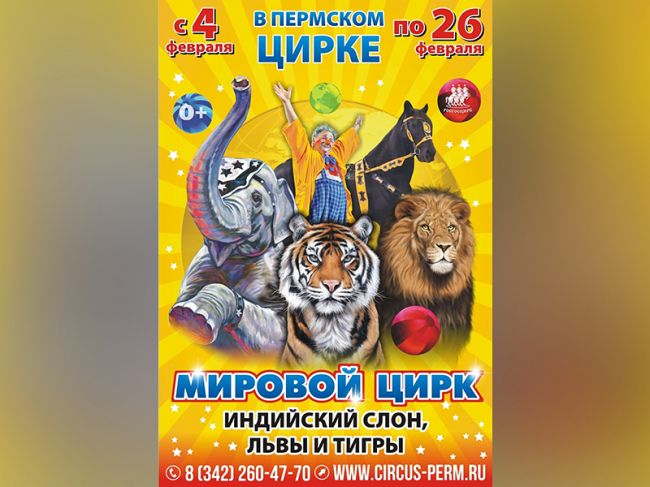 На манеже Пермского цирка представят новую программу «Мировой цирк»