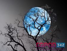 Ночью на 31 июля прикамцы увидят «голубую луну»