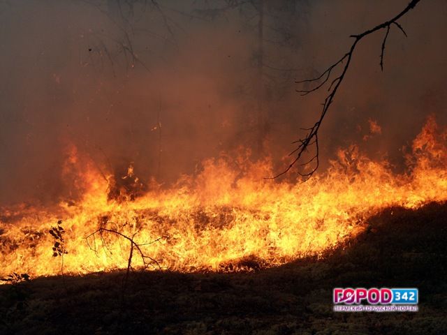 За время пожароопасного периода в Прикамье зафиксировано 11 пожаров