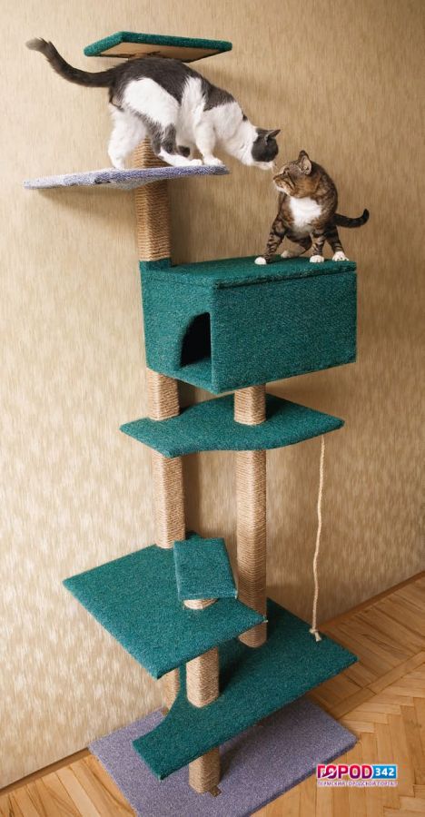 Дачный домик для кошек своими руками