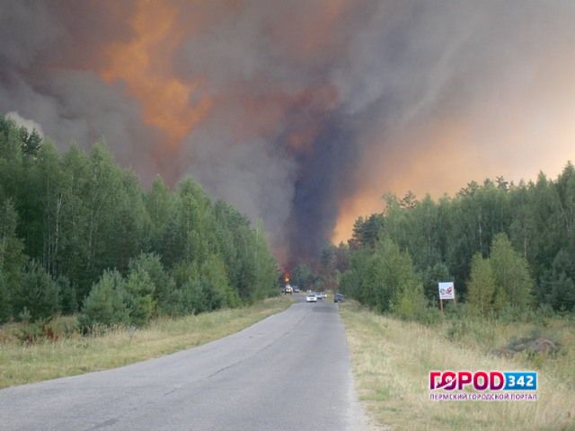 В Прикамье горят леса. Введен режим ЧС