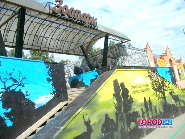Власти Прикамья отказались заключать контракт с застройщиком зоопарка