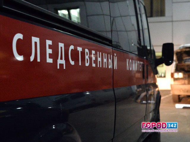 В Пермском крае сотрудниками полиции задержана подозреваемая в преступлении в отношении новорожденного
