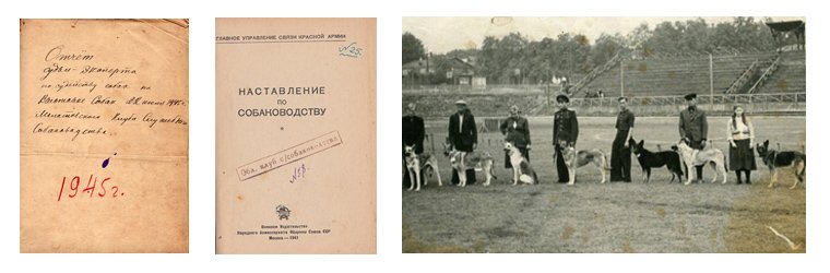 Пермский клуб служебного собаководства
