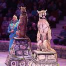 В Пермском цирке стартует новое шоу «Загадка старой игрушки»