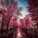 Амстердам: популярное место отдыха