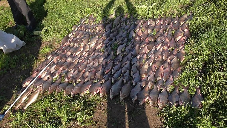 Транспортная полиция Перми выявляет граждан, осуществлявших незаконный лов рыбы в период нереста