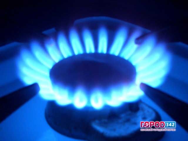 ФАС не удалось снизить стоимость газа для потребителей в Прикамье