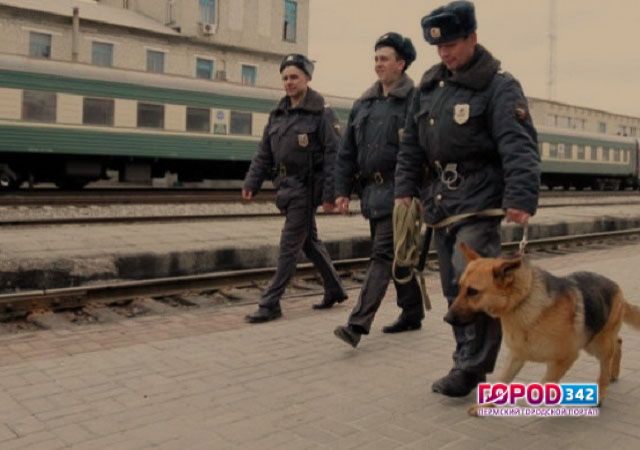 Сотрудниками транспортной полиции Прикамья раскрыта кража личного имущества, совершенная в поезде