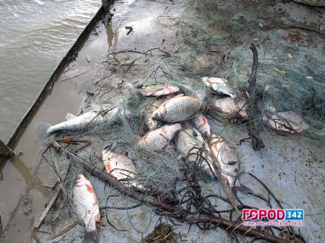 Штраф за незаконный лов рыбы должны заплатить два браконьера