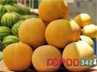 В Перми упорядочат торговлю плодами с бахчи