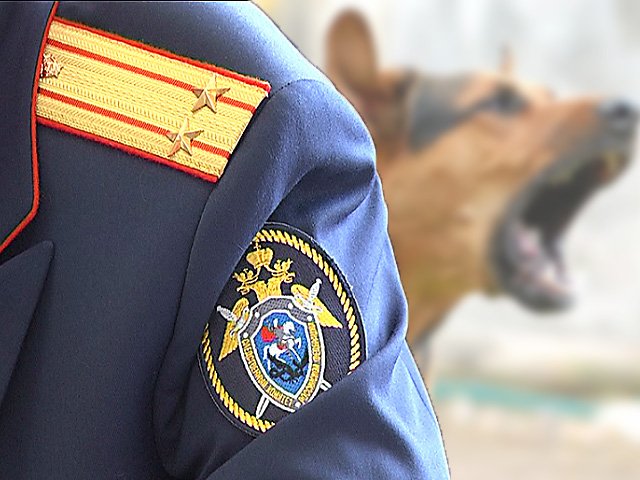 В Пермском крае возбуждено уголовное дело по факту гибели местной жительницы, которую покусала собака