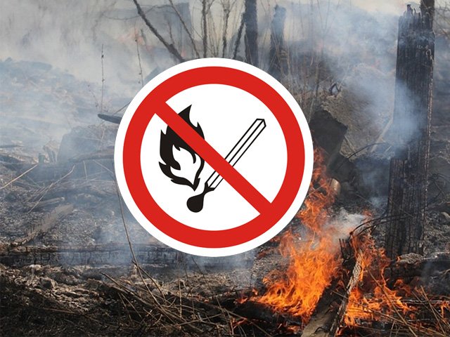 На территории Пермского края введен особый противопожарный режим