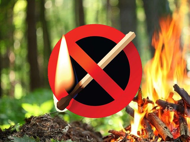 Особый противопожарный режим в лесах Пермского края введен до 20 сентября
