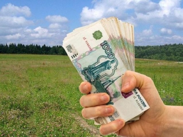 Пермским многодетным семьям вместо земли предлагают выдавать деньги — законопроект внесен в Заксобрание