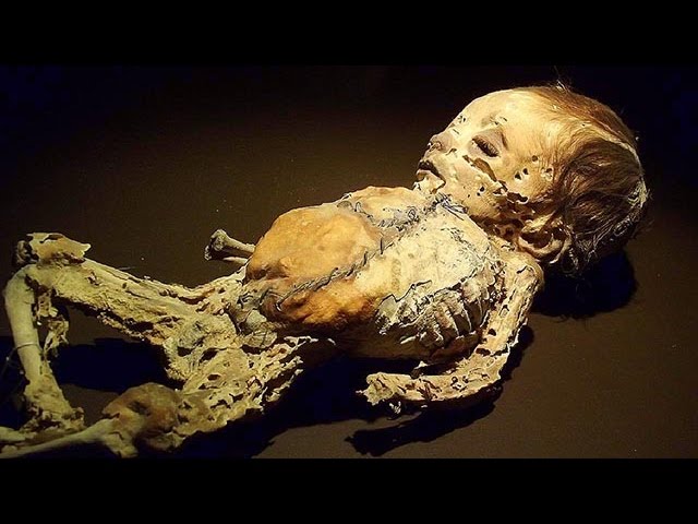 В Березниках  жителей напугала  обнаруженная на улице мумия младенца