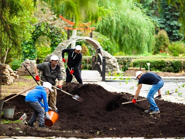 Корпоративные волонтеры помогают благоустраивать Ботанический сад Пермского Университета
