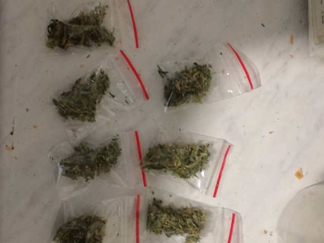 Житель Перми осужден за сбыт наркотиков — дома он выращивал куст конопли, затем продавал «марихуану»