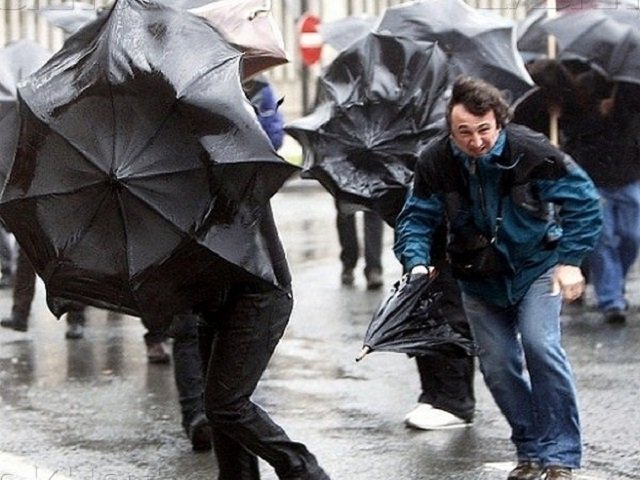 В Прикамье ожидается ветер с порывами до 20 метров в секунду — краевое МЧС объявило штормовое предупреждение