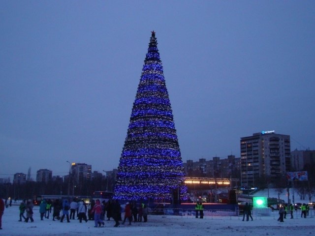 В Перми началась подготовка к сборке главной городской елки.