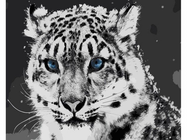 Котята снежных барсов из Перми переедут в другие зоопарки
