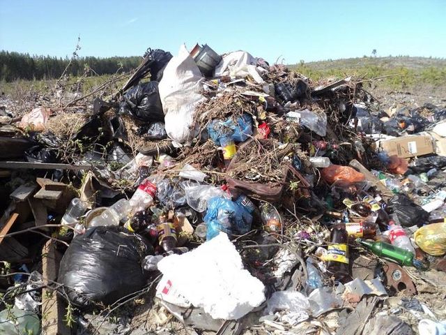 На окраине Перми на Липовой горе нашли 12 тонн мусора