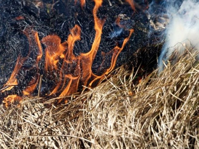 Удалось потушить два природных пожара в Кунгуре