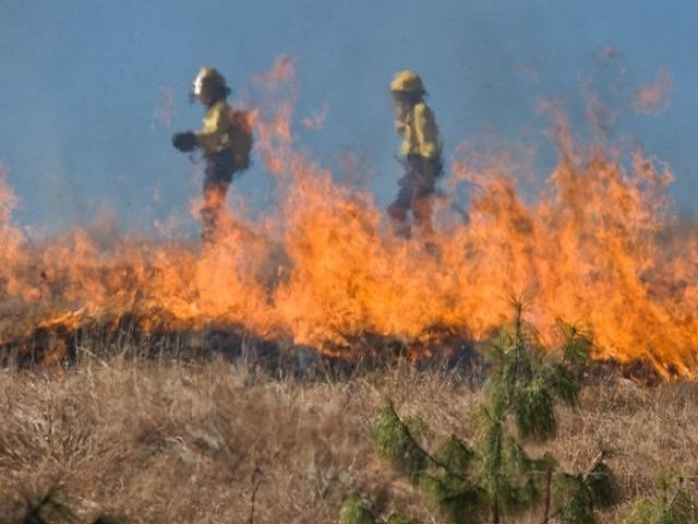 200 весенних пожаров в Прикамье из-за сжигания травы