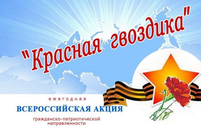 «Красная гвоздика» - акция в помощь ветеранам стартовала в России