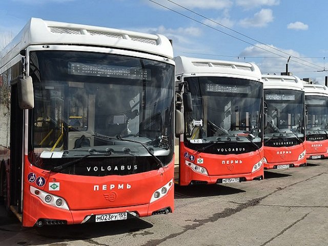 В Перми на маршруты выйдут новые автобусы