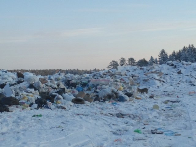 В Перми компании не платят за вывоз мусора