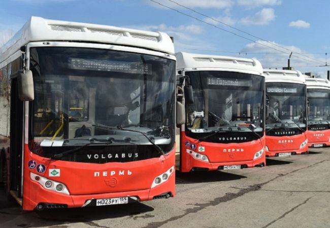 Пермь отправила обратно автобусы ЛиАЗ