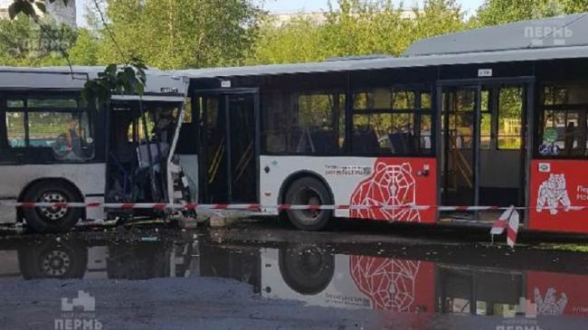 В Перми столкнулись два автобуса