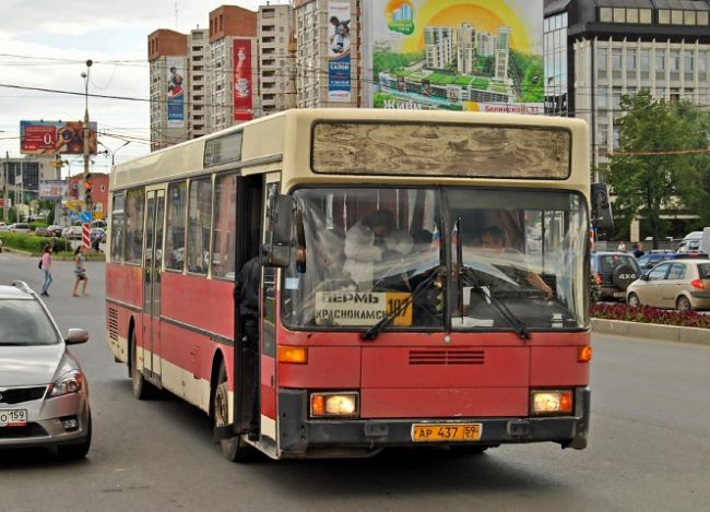 Как в День города будет работать пермский транспорт