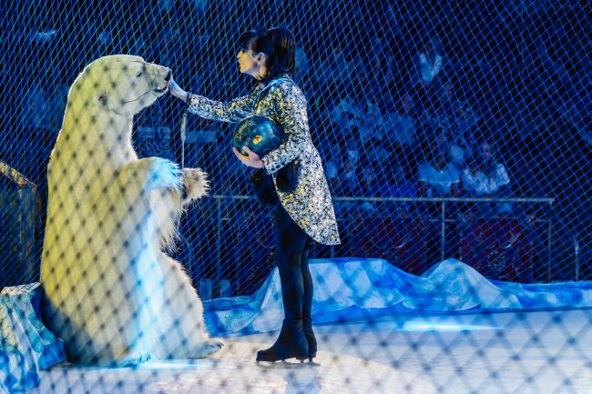 С 21 июля в Пермском цирке новое ледовое шоу «Цирк на льду АЙСБЕРГ»!