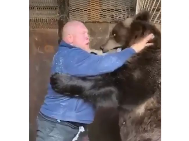 Российский боец ММА поборол медведя в Пермском крае