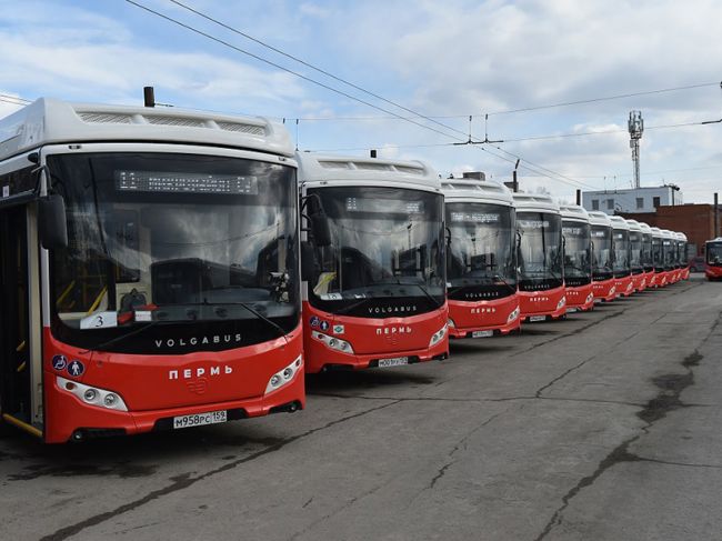 В Пермском крае к 2020 году запустят 15 новых автобусных маршрутов