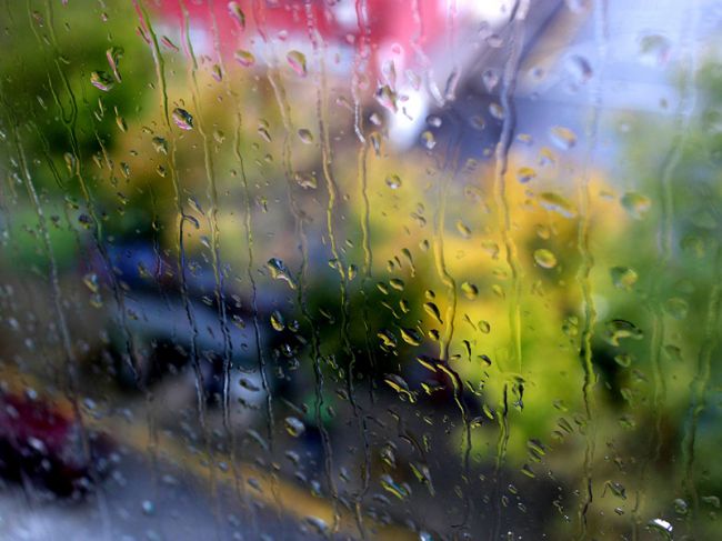 Синоптики прогнозируют дождливые выходные в Прикамье