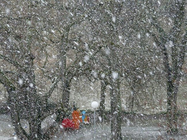 Синоптики прогнозируют значительный снегопад в Пермском крае