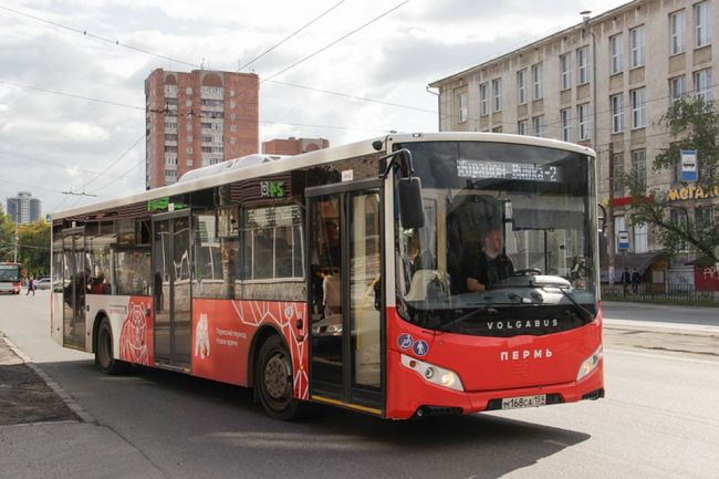 С 17 ноября изменятся маршруты автобусов №2 и №3 в Перми
