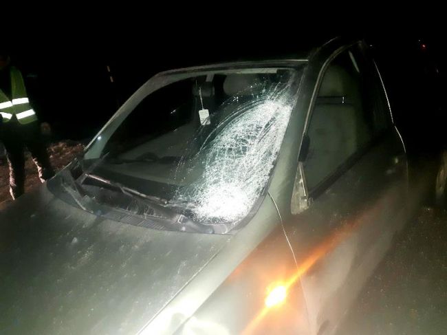 В Пермском крае возле придорожного кафе автомобиль насмерть сбил женщину