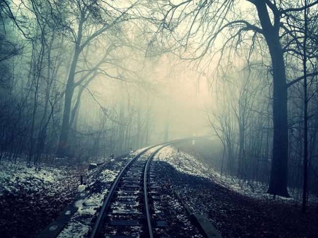 Под поездом в Пермском крае погибла 18-летняя девушка