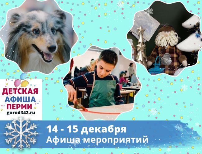 Куда сходить с детьми в Перми в выходные. 14 — 15 декабря 2019