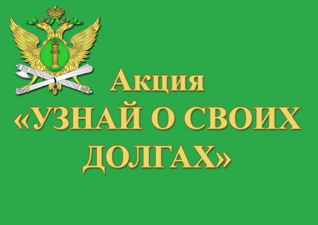Всероссийская акция «Узнай о своих долгах» пройдет в Прикамье 20 декабря